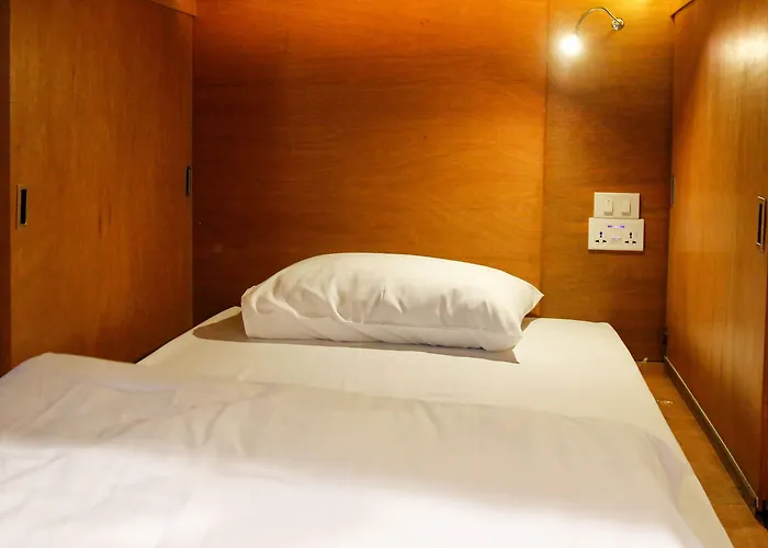 Tropical Summer Albergue