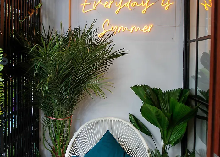 بيت شباب Tropical Summer *