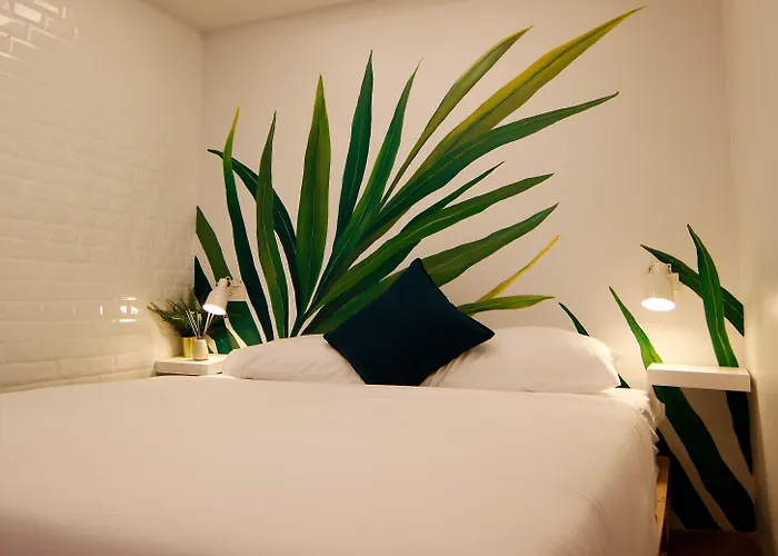 Tropical Summer بيت شباب *