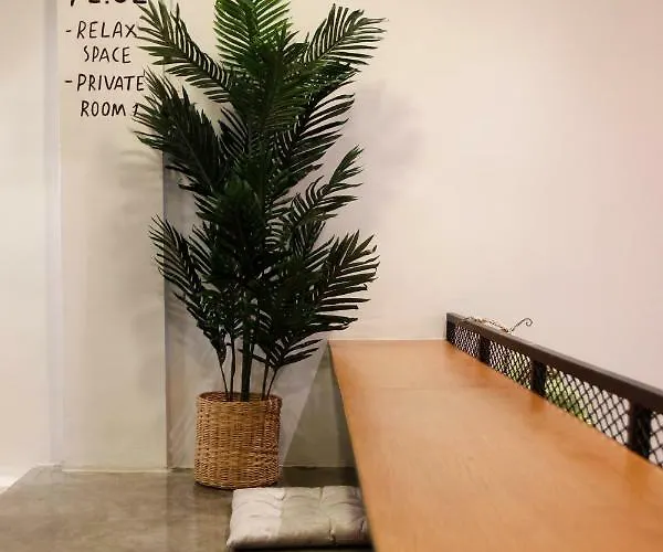 بيت شباب Tropical Summer
