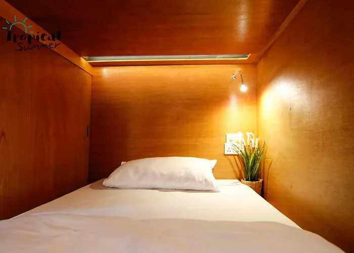 Tropical Summer Albergue