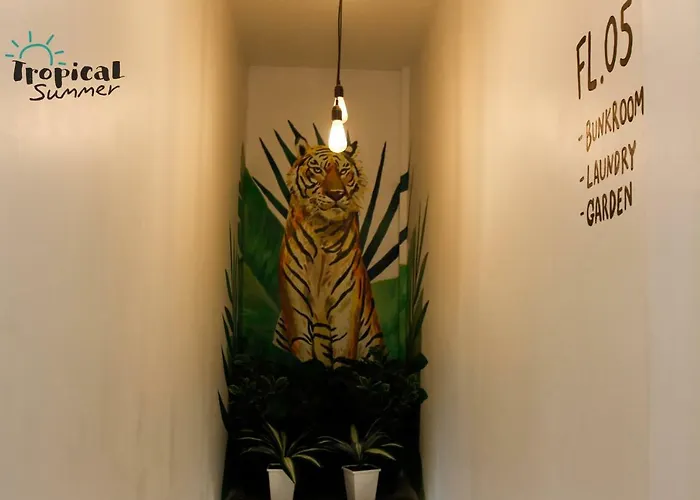 Tropical Summer Albergue