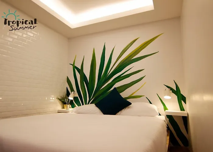 بيت شباب Tropical Summer