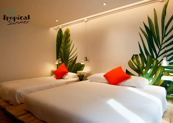 بيت شباب Tropical Summer