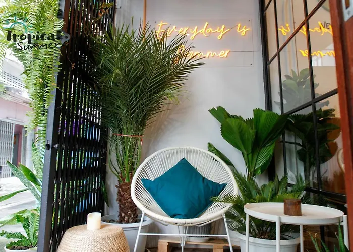 Tropical Summer Albergue